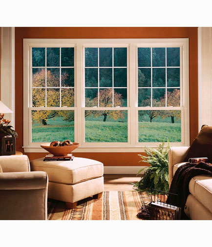 Replacement Window Installed Feb 2025